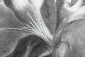 Flower detail 1